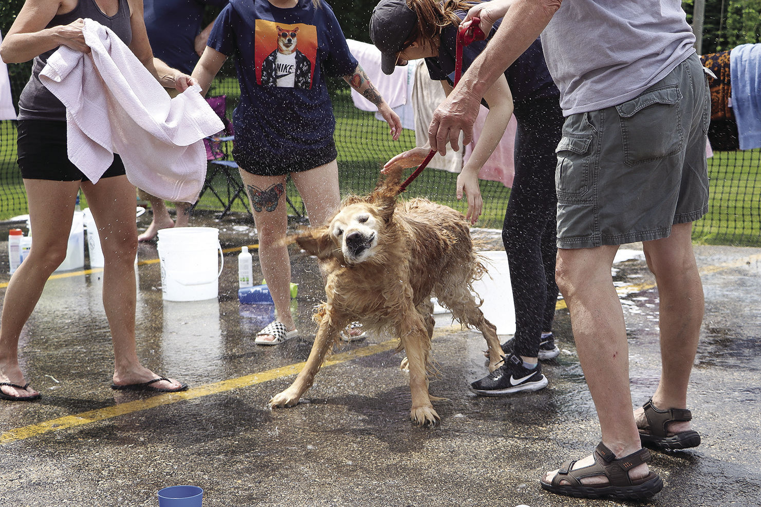 Shake it off
